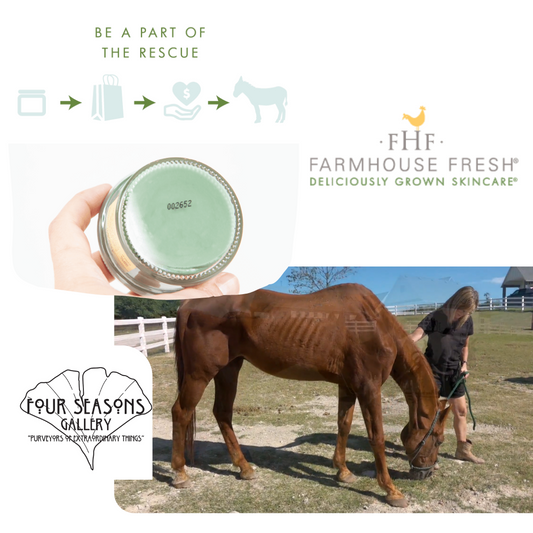3 HORSES SAVED - RESCUED BECAUSE OF YOUR FARMHOUSE FRESH PURCHASE! - Four Seasons Gallery